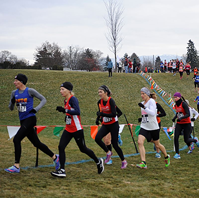 Competitive runners run up hill on an outdoor cross country course.